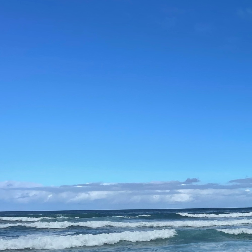 Meet your Posher, ✌🏽